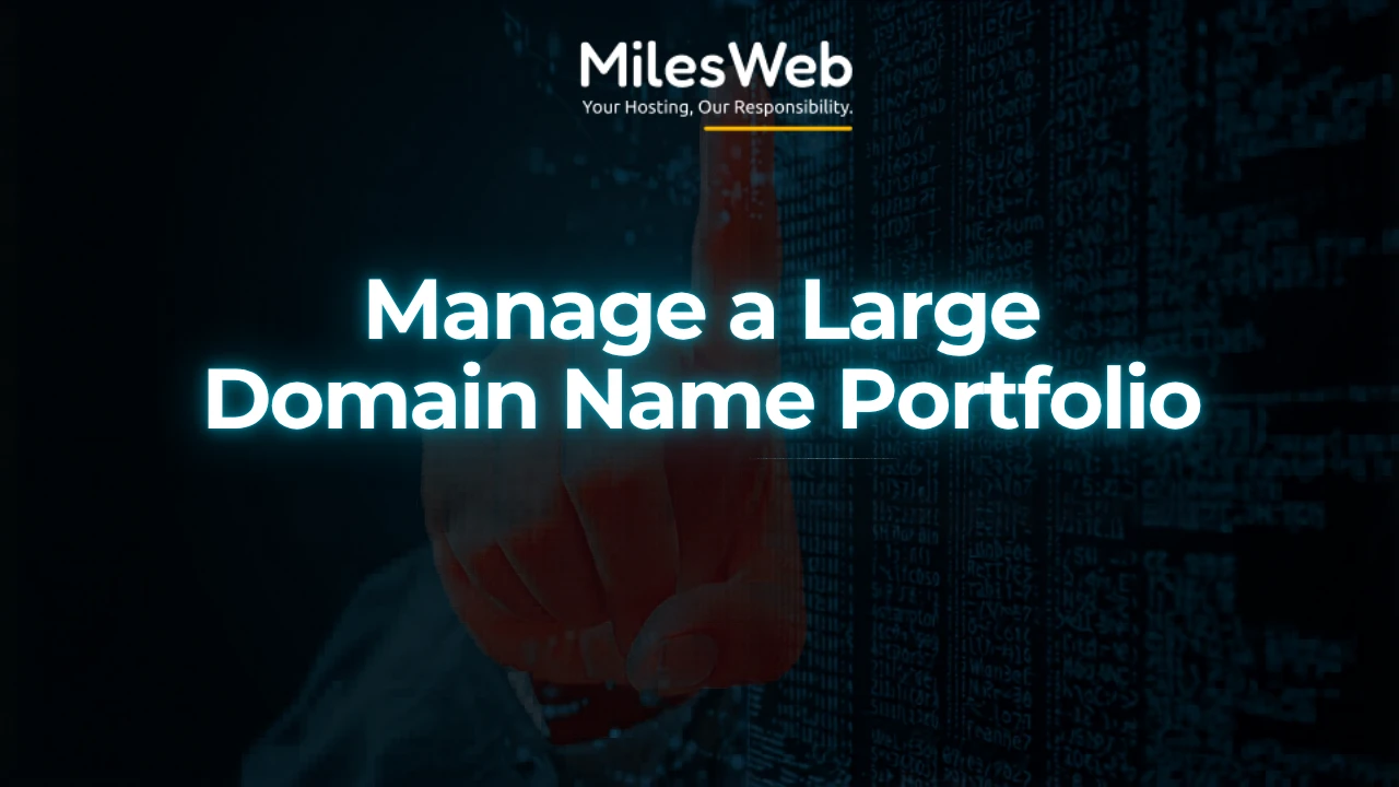 Manage a Large Domain Name Portfolio